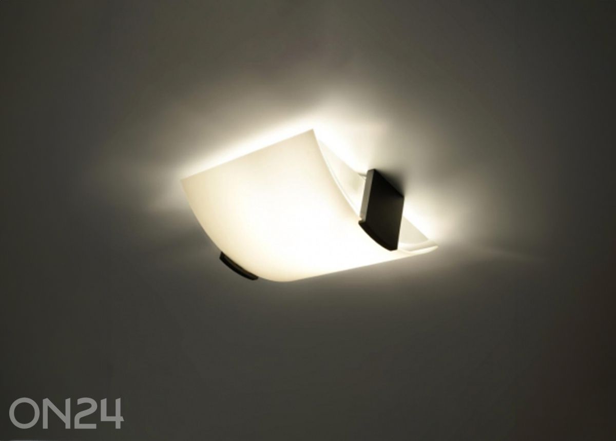 Laelamp Emilio suurendatud