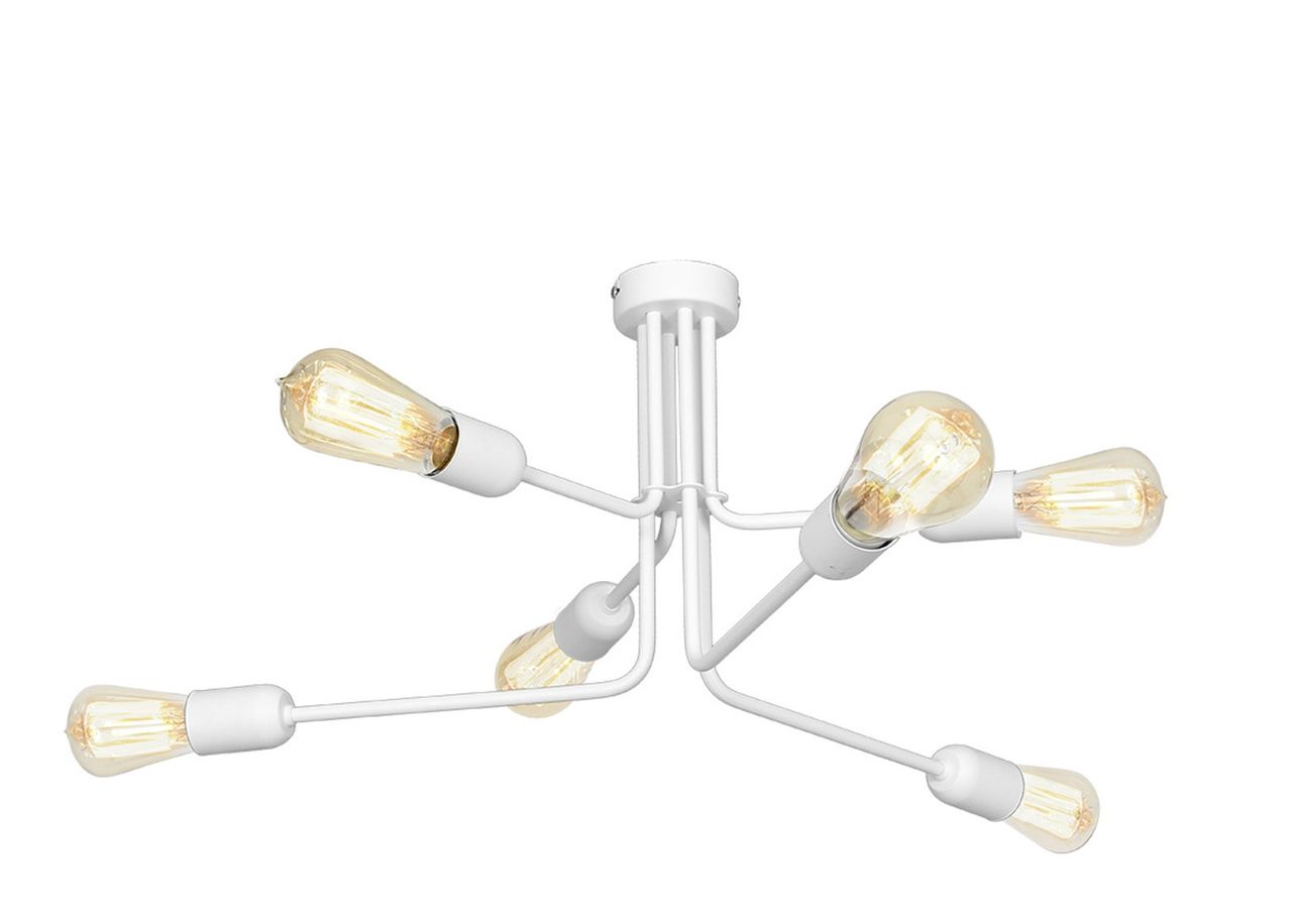 Laelamp Ezop suurendatud