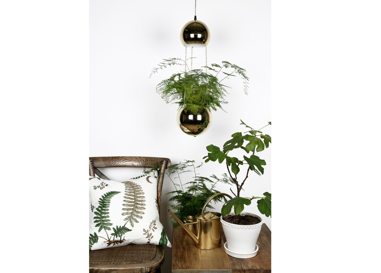 Laelamp Planter suurendatud