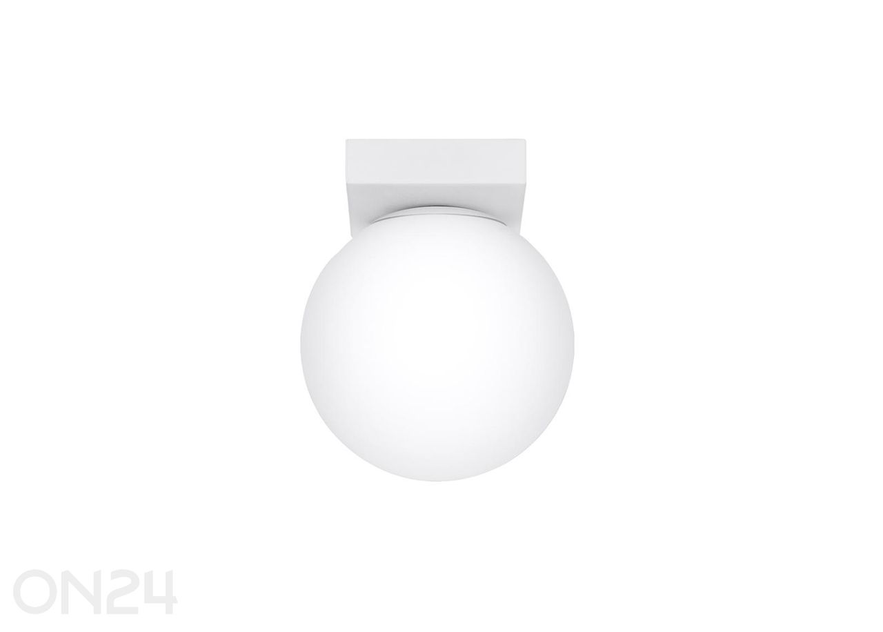 Laelamp Yoli 1 suurendatud