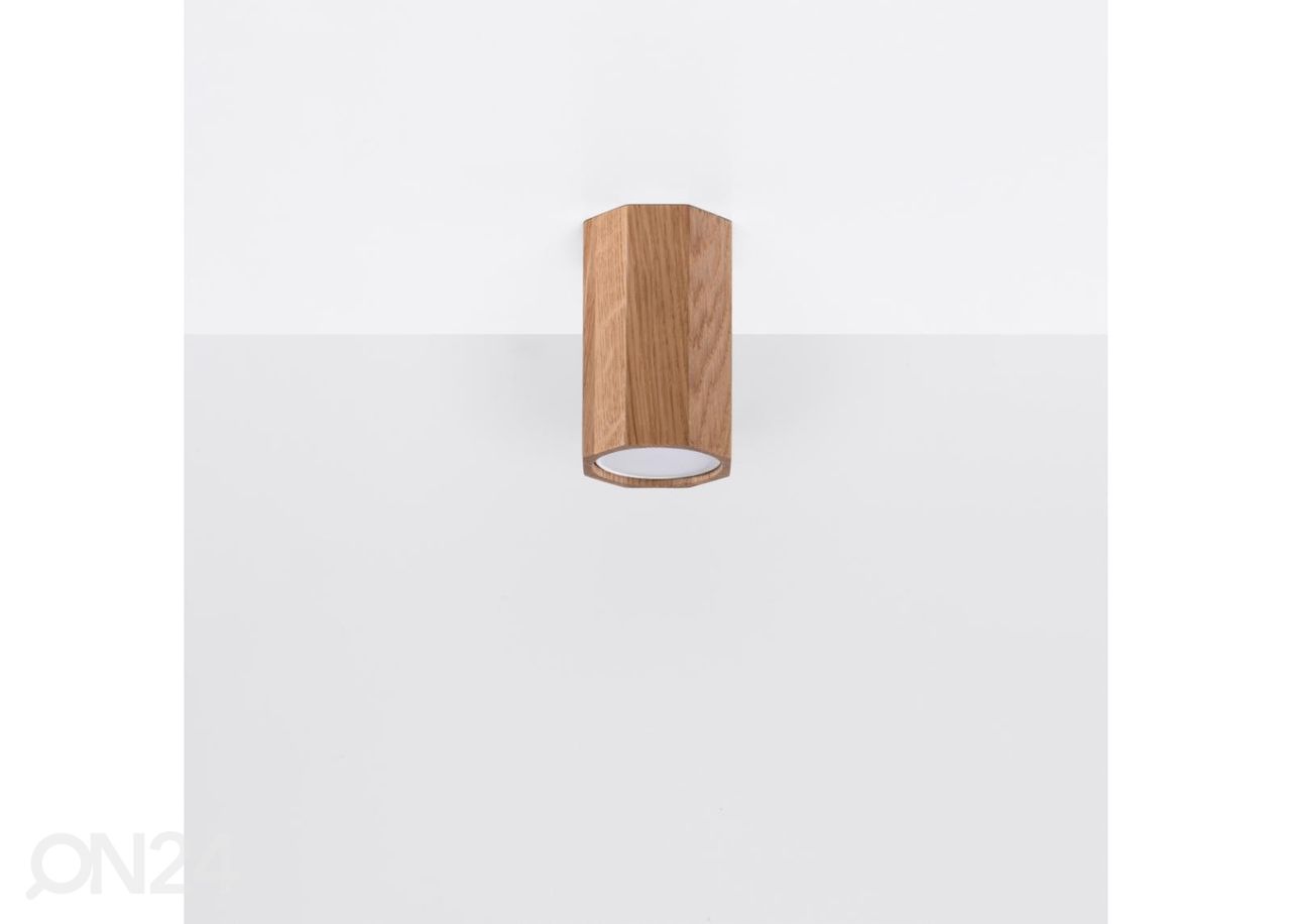 Laelamp Zeke 10, tamm suurendatud