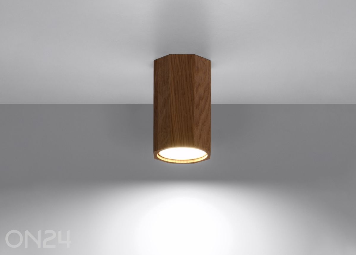 Laelamp Zeke 10, tamm suurendatud