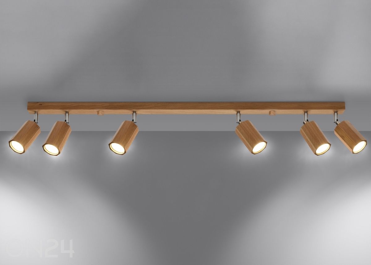 Laelamp Zeke 6, tamm suurendatud