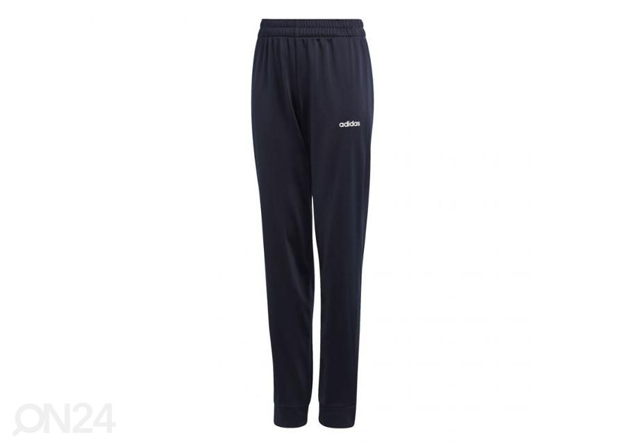Laste dresside komplekt Adidas Essentials Linear Tracksuit Jr FM6569 suurendatud