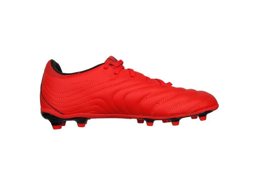 Laste jalgpallijalatsid muru adidas Copa 20.3 FG Jr EF1914 suurendatud