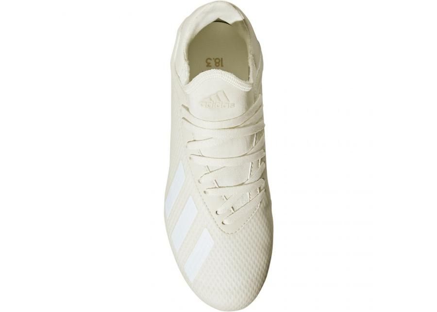 Laste jalgpallijalatsid muru Adidas X 18.3 FG Jr DB2417 suurendatud