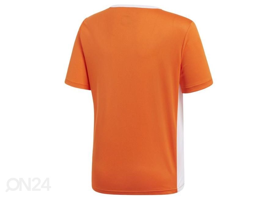 Laste jalgpallisärk Adidas Entrada 18 JSY Y Jr CF1043 suurendatud