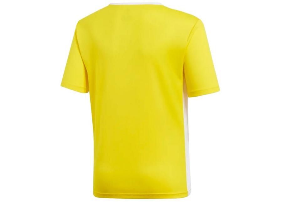 Laste jalgpallisärk Adidas Entrada 18 Jsyy Jr CF1039 suurendatud