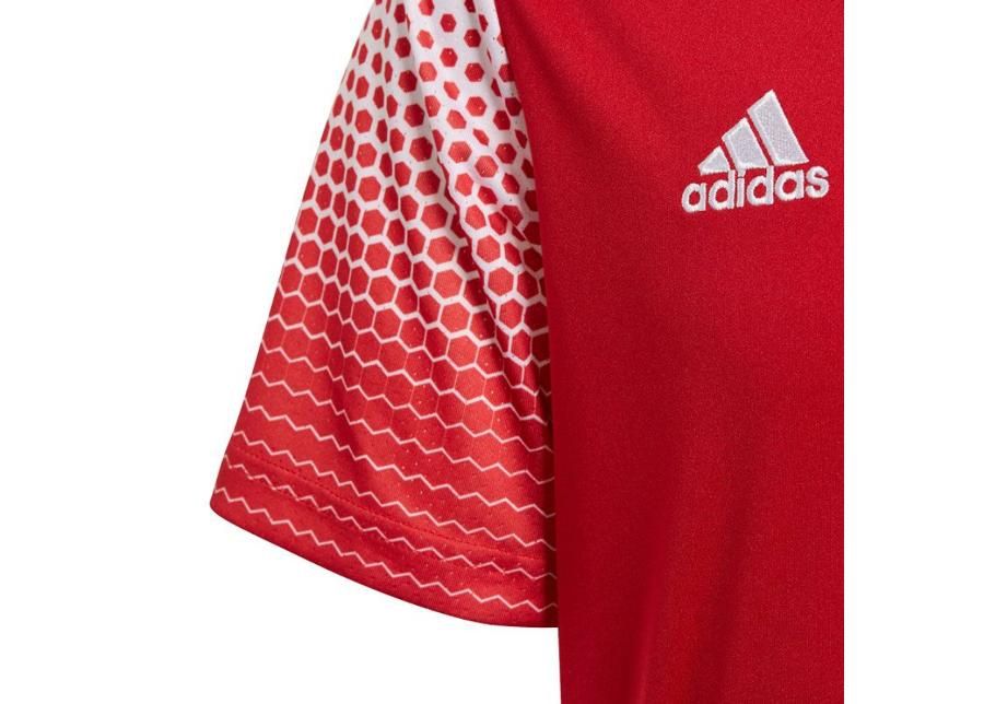 Laste jalgpallisärk adidas Regista 20 Jr FI4565 suurendatud