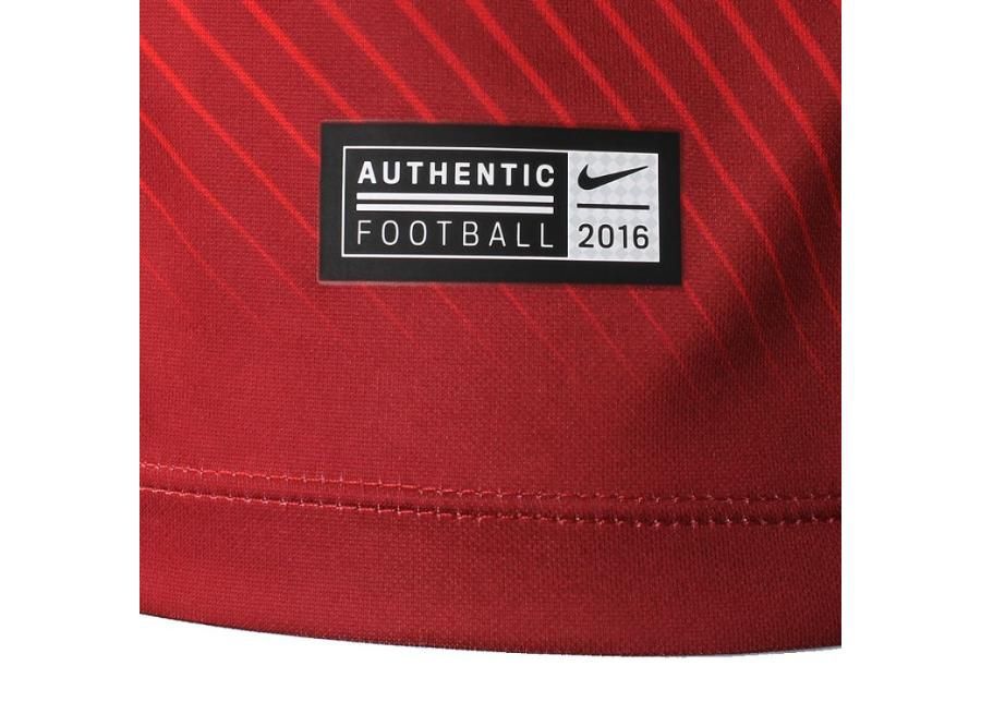 Laste jalgpallisärk Nike Polska Youth Away Supporters Tee Junior 846807-611 suurendatud