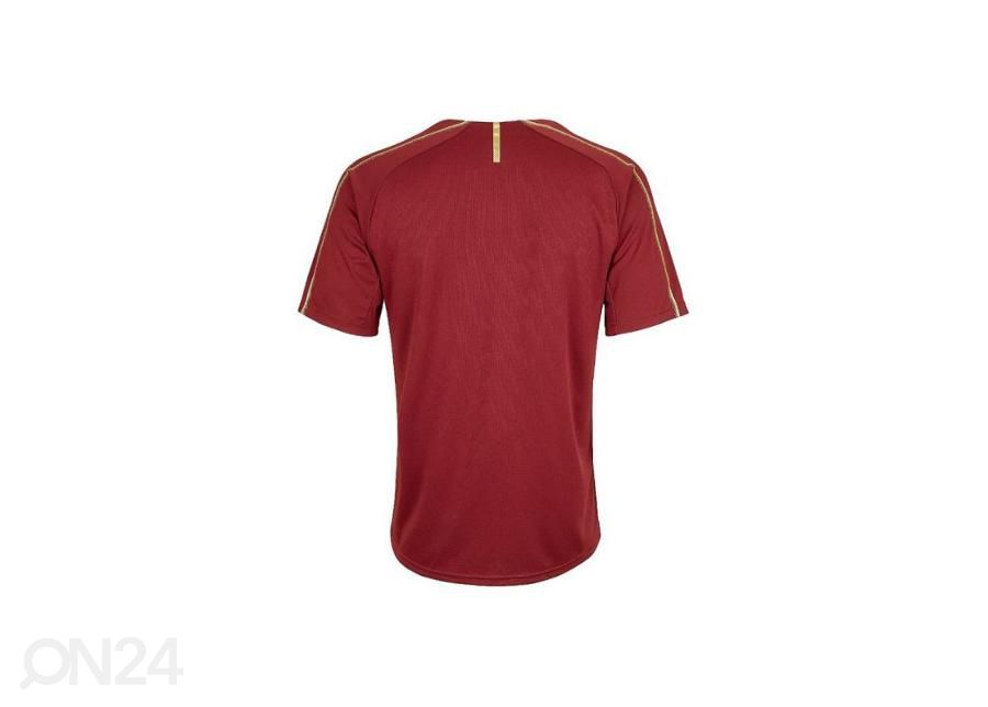 Laste jalgpallisärk Puma Arsenal FC Training Tee Junior 753267 03 suurendatud