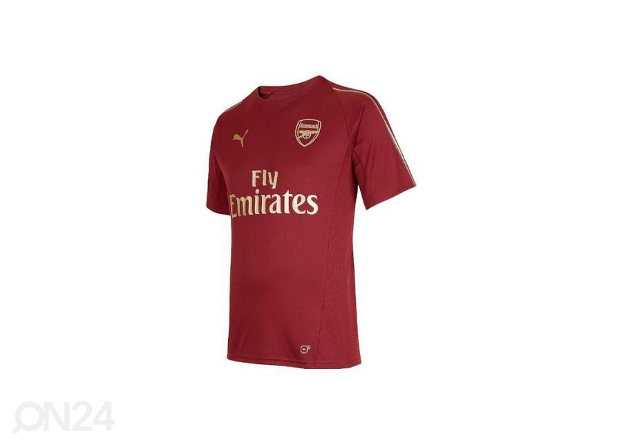 Laste jalgpallisärk Puma Arsenal FC Training Tee Junior 753267 03 suurendatud