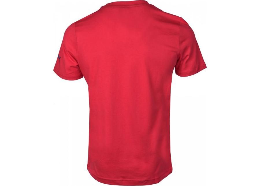 Laste jalgpallisärk Puma Arsenal Football Club Fan Tee Junior 74929701 suurendatud