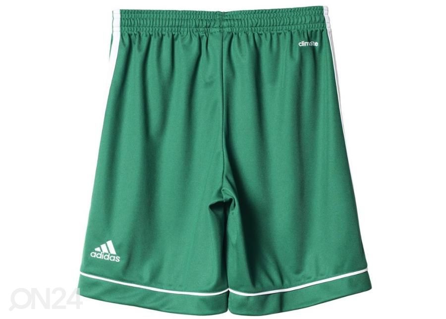 Laste lühikesed jalgpallipüksid Adidas Squadra 17 Jr BK4776 suurendatud