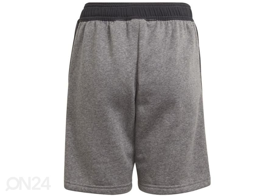 Laste lühikesed jalgpallipüksid Adidas Tiro 21 Sweat Short suurendatud
