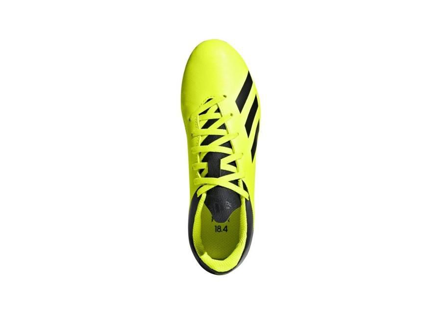 Laste muru jalgpallijalatsid adidas X 18.4 FxG Jr DB2420 suurendatud