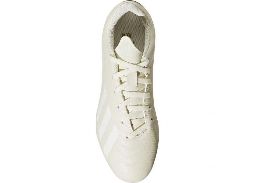 Laste muru jalgpallijalatsid adidas X 18.4 FxG Jr DB2421 suurendatud