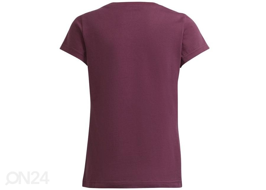 Laste vabaajasärk Adidas Essentials Tee Jr GS0258 suurendatud