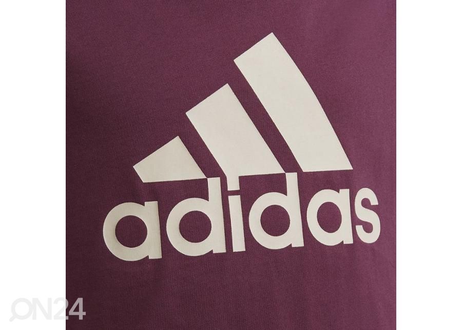 Laste vabaajasärk Adidas Essentials Tee Jr GS0258 suurendatud