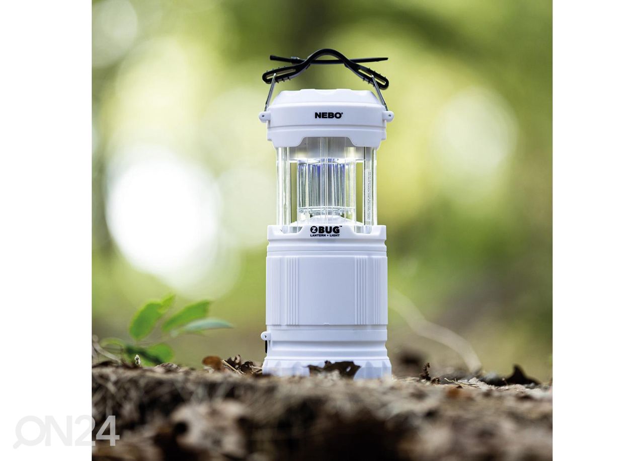 Latern z-bug suurendatud
