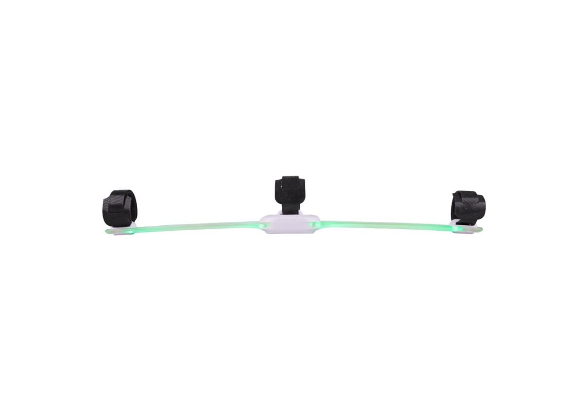 Led kaelarihm koerale LED Light Maxi suurendatud