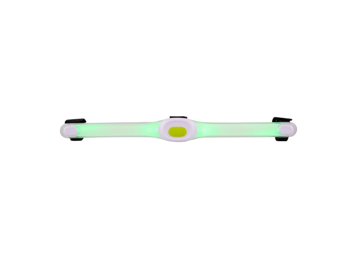 Led kaelarihm koerale LED Light Maxi suurendatud