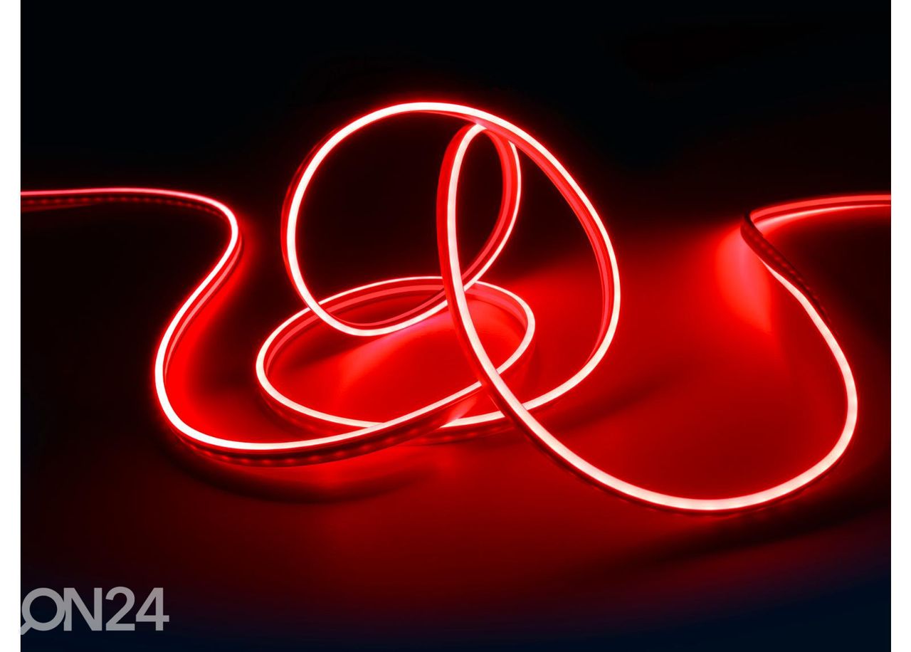 LED riba Neon 3 m komplekt suurendatud