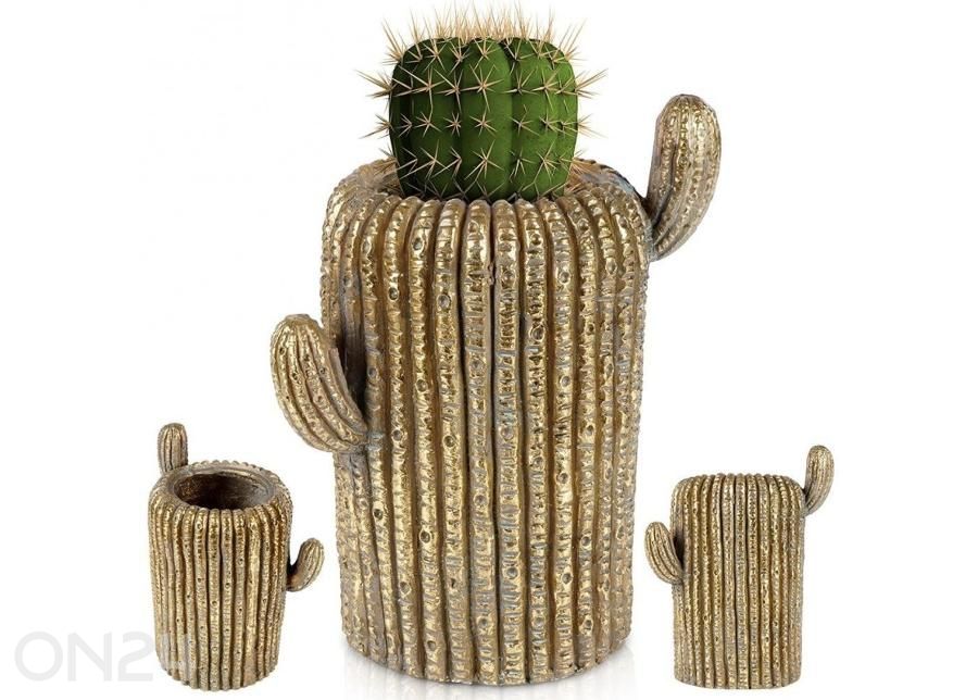 Lillepott kaktus suurendatud