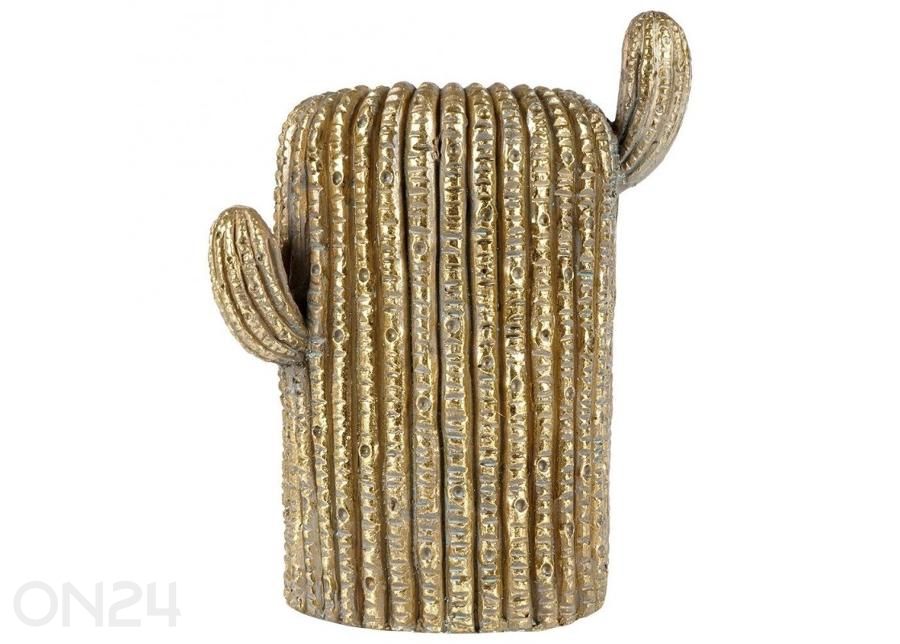 Lillepott kaktus suurendatud