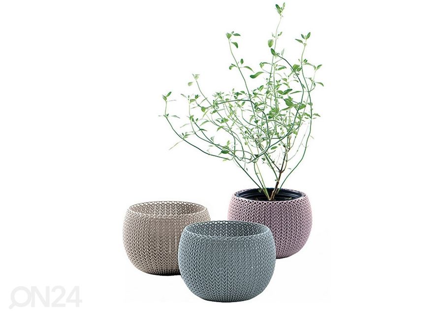 Lillepottide komplekt Keter Cozy, 3 tk suurendatud