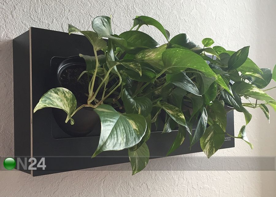 Lilleriiul Dark 4B1 suurendatud