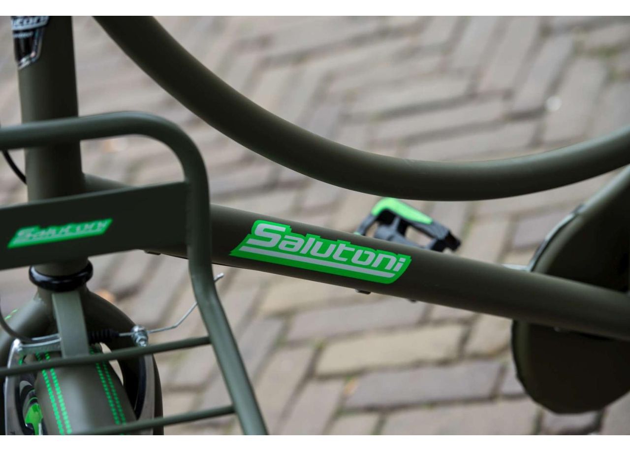 Linnajalgratas naistele SALUTONI Camouflage 28 tolli 56 cm Shimano Nexus 3 käiku suurendatud