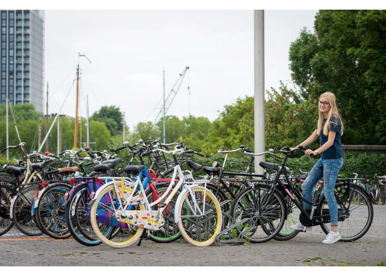 Linnaratas naistele SALUTONI Dutch oma bicycle Glamour 28 tolli 50 cm Shimano Nexus 3 käiku suurendatud