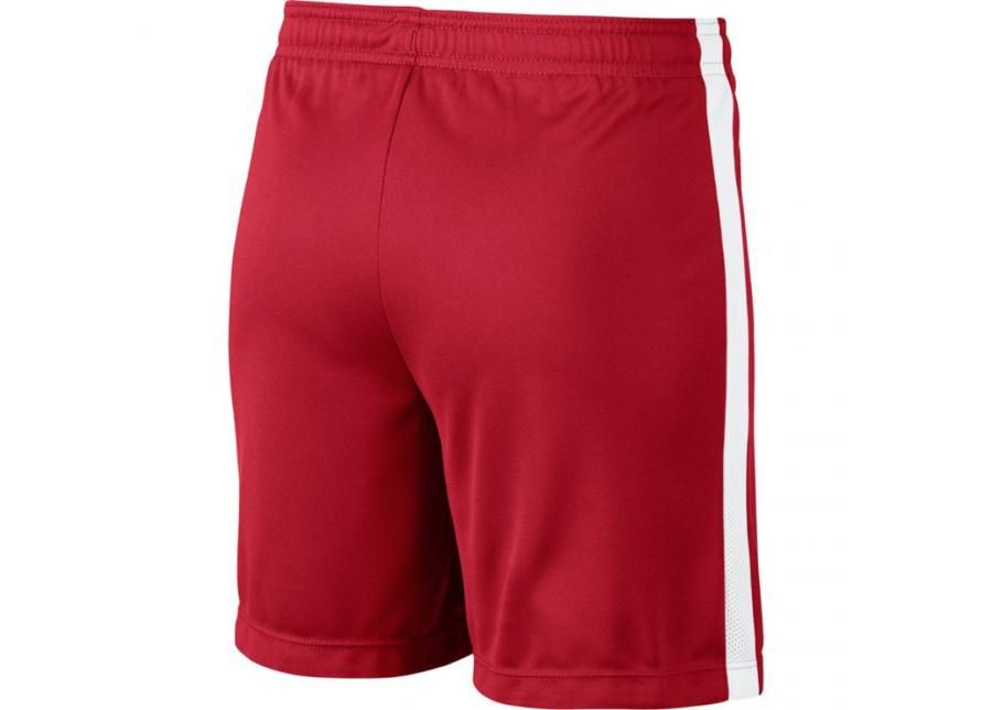 Lühikesed püksid meestele Nike Dry Academy K M 832901 657 suurendatud