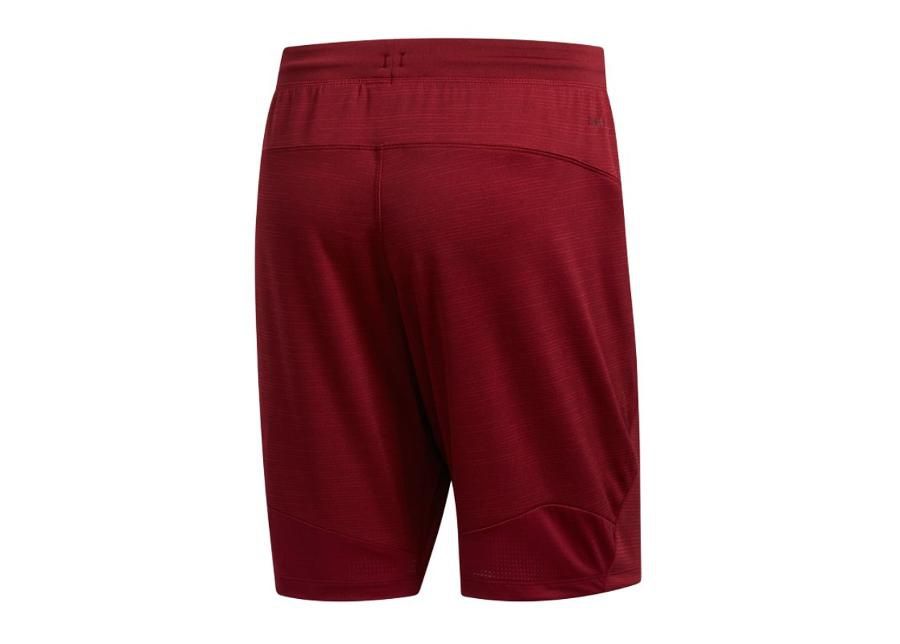 Lühikesed spordipüksid meestele adidas 4KRFT Sport Z HKN 8 Short M EB7891 suurendatud