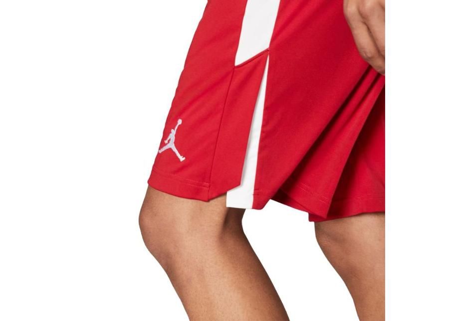 Lühikesed spordipüksid meestele Nike Jordan 23 Alpha Training Short M 905782-688 suurendatud
