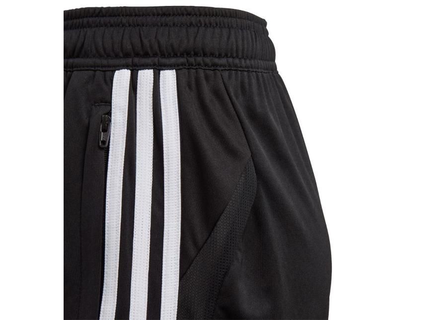 Lühikesed treeningpüksid lastele adidas Tiro 19 Training Short JR D95946 suurendatud