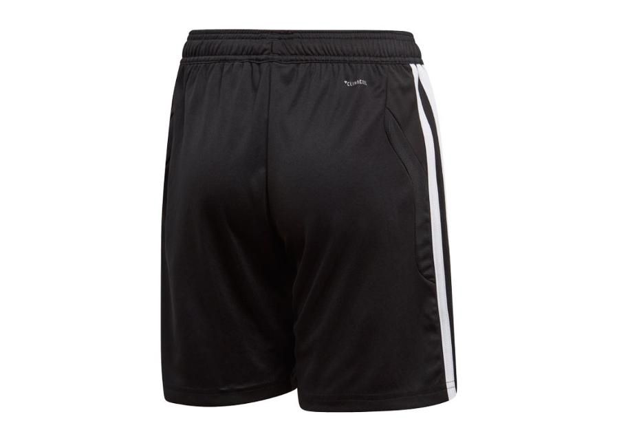 Lühikesed treeningpüksid lastele adidas Tiro 19 Training Short JR D95946 suurendatud
