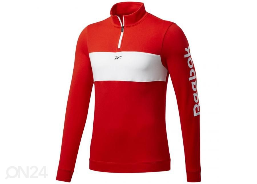 Meeste dressikomplekt Reebok Te Linear Logo Ts M FU3197 suurendatud