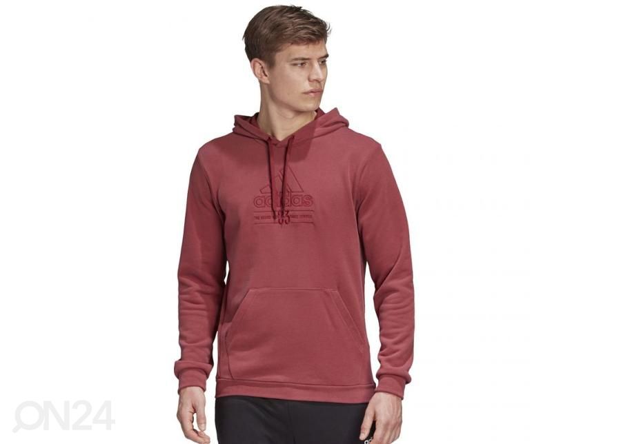 Meeste dressipluus Adidas Brilliant Basics Hooded M GD3832 suurendatud
