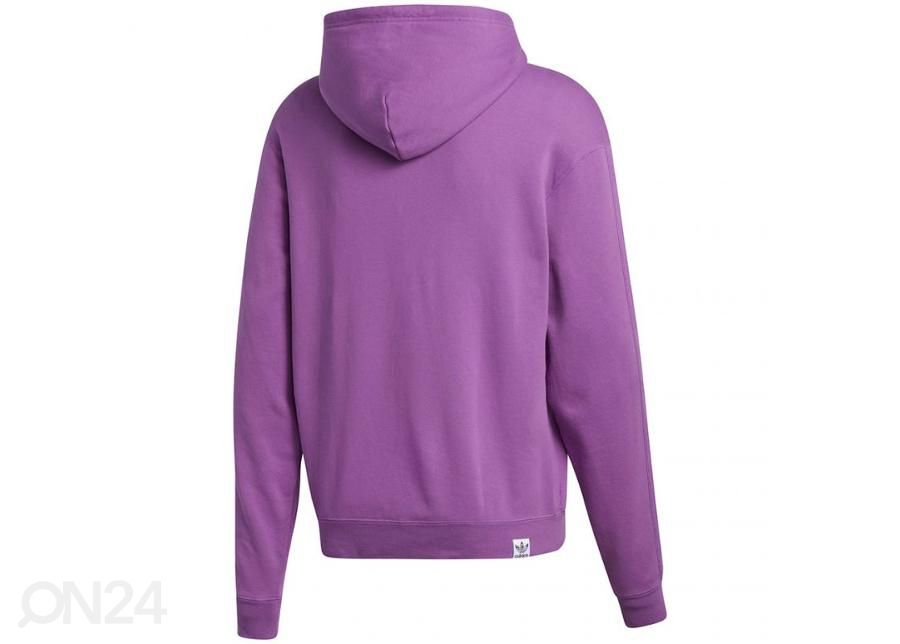 Meeste dressipluus Adidas Pride Flag Fill Hoody M GK8524 suurendatud