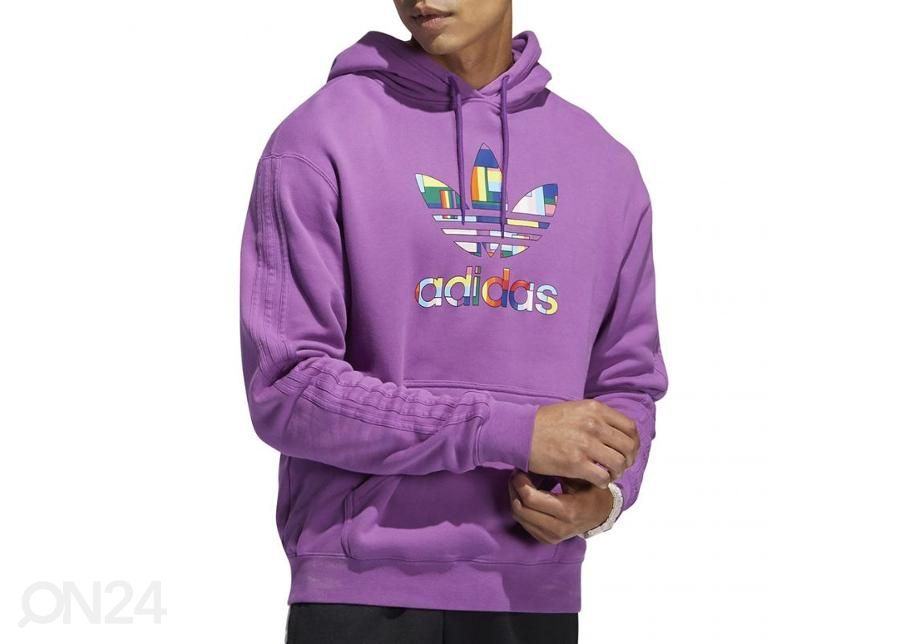 Meeste dressipluus Adidas Pride Flag Fill Hoody M GK8524 suurendatud