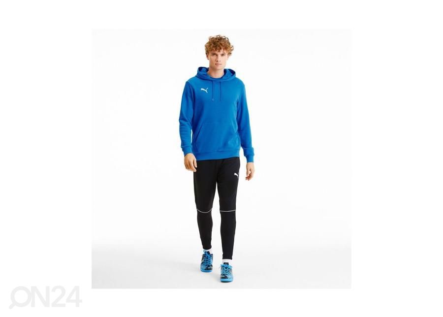 Meeste dressipluus Puma TeamGoal 23 Casuals suurendatud