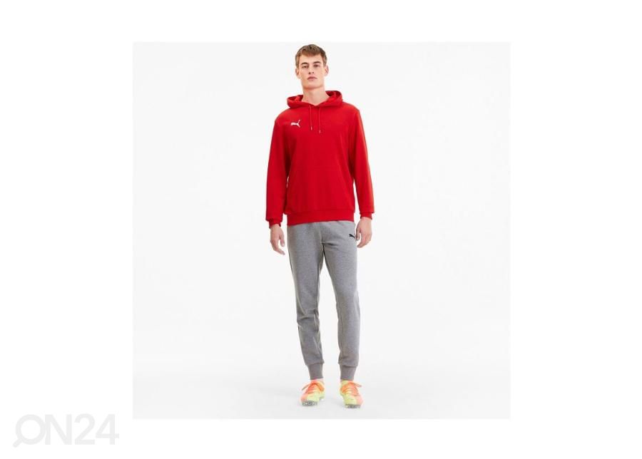 Meeste dressipluus Puma TeamGoal 23 Casuals suurendatud