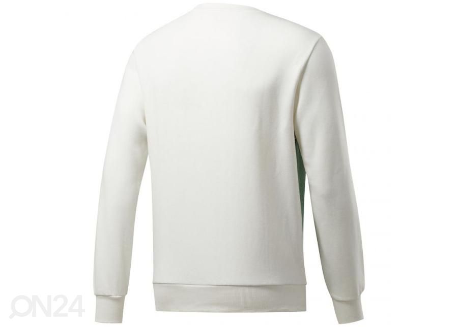 Meeste dressipluus Reebok Classic Linear Crew M FT7335 suurendatud