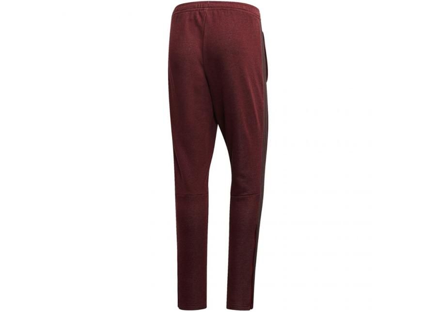 Meeste dressipüksid adidas Tiro 19 French Terry Pant M FP8043 suurendatud