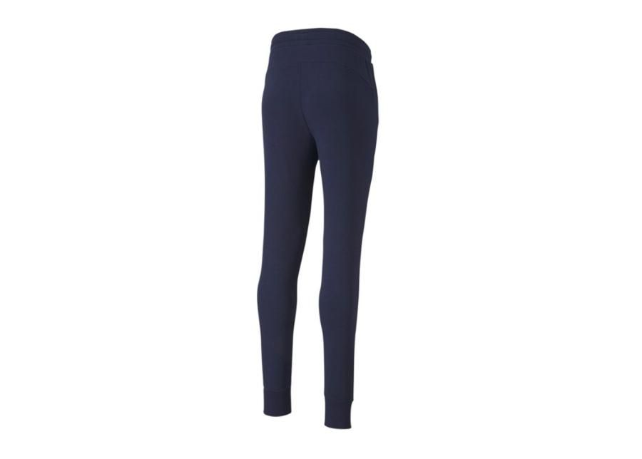 Meeste dressipüksid Puma teamGoal 23 Casual Pants M 656582-06 suurendatud