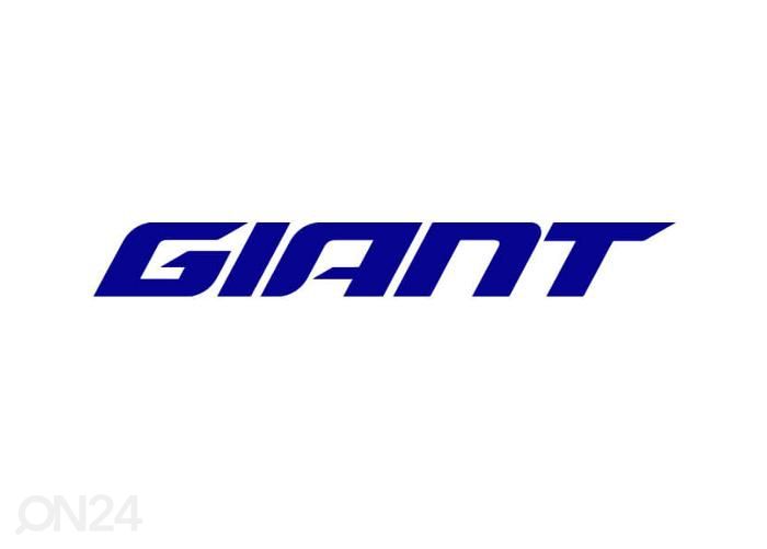 Meeste hübriid ratas Giant Escape Disc 3 Metallic Black (2022) - M suurendatud
