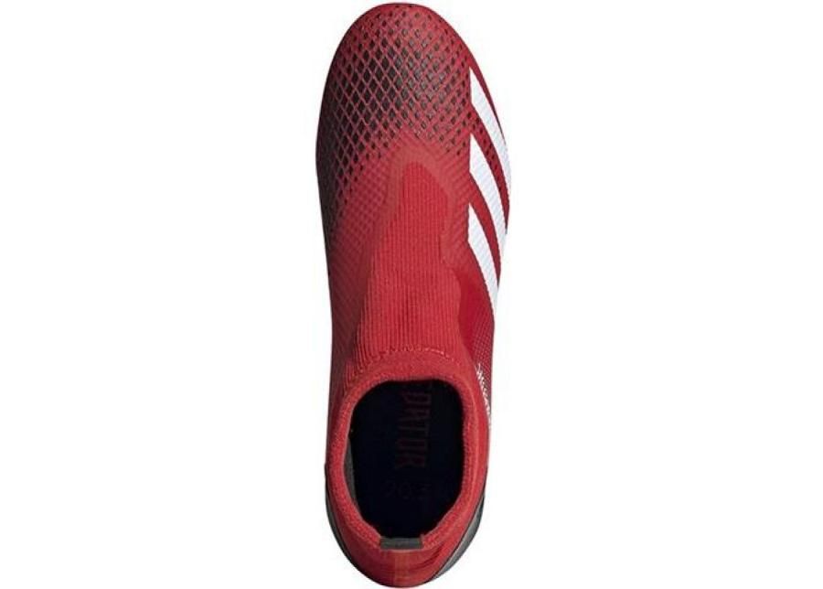 Meeste jalgpallijalatsid muru adidas Predator 20.3 LL FG M EE9554 suurendatud