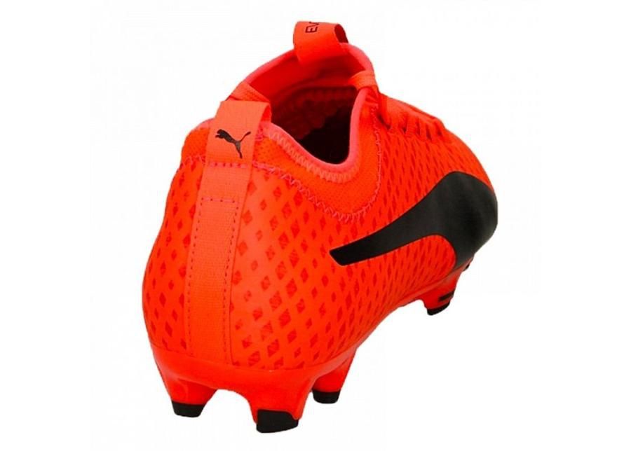 Meeste jalgpallijalatsid muru Puma Evo Power Vigor 3 FG M 104297 01 suurendatud